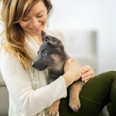 The Importance of Touch: How to Handle Your Puppy