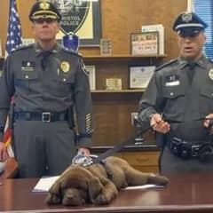 Cute Puppy Steals the Show by Sleeping Through His K9 Swearing-In Ceremony