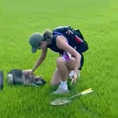 When a Mysterious Pup Kept Crashing Her Practice, This Athlete Did Something Amazing