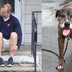 Community Unites To Honor Beloved Sick Dog’s Final Walk In Pennsylvania