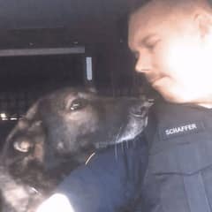 After 8 Years of Service, K-9 Hero Faust Bids a Heartfelt Farewell With Final Radio Call