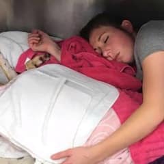 Veterinarian Steps Into Kennel to Calm A Badly Injured Dog in Distress After Tragedy
