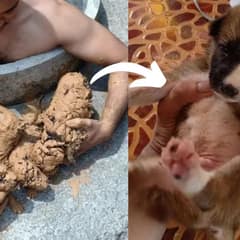 Man Rescued 5 Mud Balls In A Well, Turned Out To Be The Most Adorable Surprise