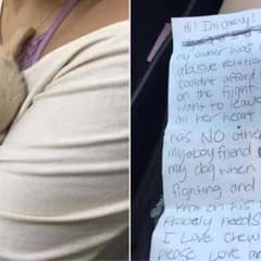 Frightened Chihuahua Abandoned by Owner in Airport Bathroom with an Emotional Message