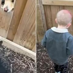 Family’s New House Comes with a Delightful Surprise They Never Expected
