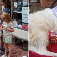 Fostering a Hero: Rescue Dog Saves Family Of Five From Boat Fire