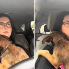 Heartbroken Dog Clings to His New Owner During Car Ride After Being Abandoned