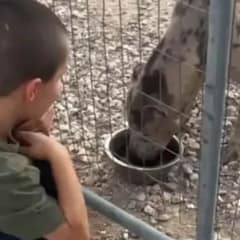 5-Year-Old Boy Feeds Neglected Dog, Saving Its Life from Cruel Owner