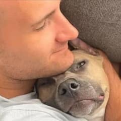 Abandoned Pittie Shows His New Family Just How Much Love Pit Bulls Can Give
