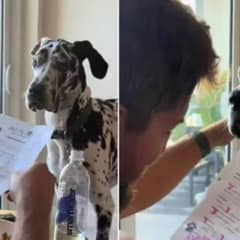 Maddox Can’t Contain His Joy When He Hears His Daycare Report Card!
