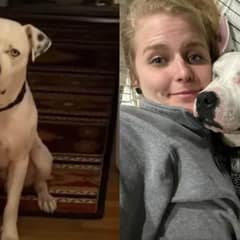 Woman Reunites With Foster Pup After He Was Abandoned Again, Decides To Give Him A Forever Home