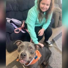 Woman Breaks Down In Tears When She Sees Shelter Pittie Wearing Her Late Dog’s Bandana