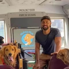 New School Bus Brings Dogs to the Park Every Day for Fun Adventures