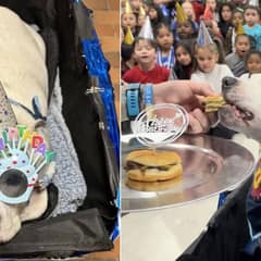 School Kids Do The Sweetest Thing For Deaf Therapy Dog On His Birthday