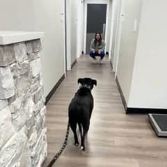 Nervous Pup Meets Her New Vet And Can’t Believe It’s Someone She Knows