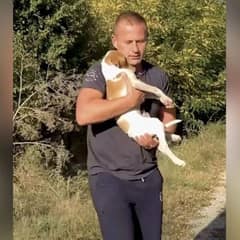 Puppy Abandoned On Roadside Finds Comfort in Rescuer’s Arms