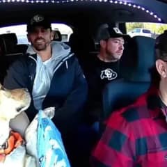 Meet Bowie, the Uber Dog Who Rides Through Colorado and Steals Hearts