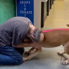Cancer Survivor Sheds Tears When He Re-Adopts Dog He Was Forced To Surrender