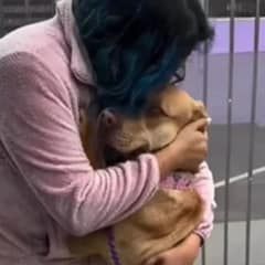 Shelter Employee Hugs Inconsolable Dog After The Saddest Surrender She’s Ever Witnessed