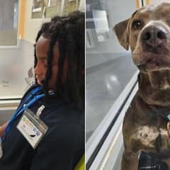 New Sheltered Pup Finds Calm And Comfort Through Storytime With A Young Volunteer