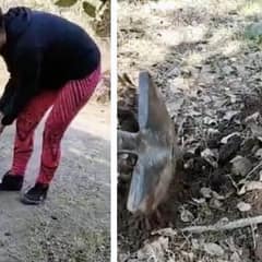 ‘Angel’ Puppy Appears Out Of Nowhere As Family Lays Their Dear Old Dog To Rest