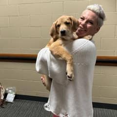 Dog Rescued From Pile Of Fallen Branches Is Now On Tour With P!nk