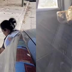 From Street Shadows to a Loving Home: Poppy’s Journey Begins