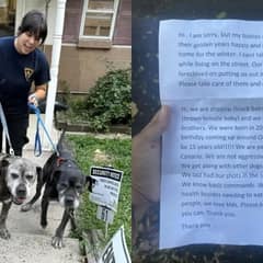 Fifteen-Year-Old Dogs Left Outside Shelter With a Note That No One Can Forget