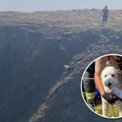 Brave Firefighters Rush to Rescue Terrified Puppy Trapped on Cliff Edge