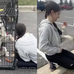 Senior Dog Overlooked For Years Finally Finds A  Forever Home Thanks to One Special Girl