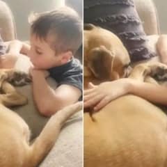 Boy Adopts Abused Dog With His Savings and What He Says Next Will Melt Your Heart