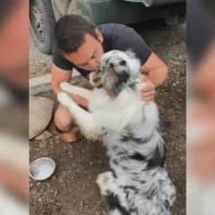 Woman Wondered Why Her Husband Didn’t Want A Dog Until She Learned the Heartbreaking Truth