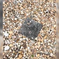 Woman Moved Into a New Home and Found a Dog’s Grave That Led to a Beautiful Surprise