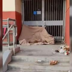 Passerby Spots Unmoving Creature On Metro Stairs And Makes A Heartbreaking Discovery