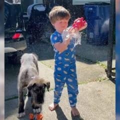 Tiny Puppy Turns Into a Gentle Giant and Changes This Boy’s Life