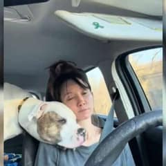 Grateful Shelter Pup Forms Sweet Bond With Volunteer After Being Left Behind