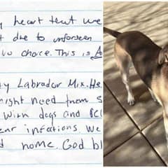 Dog Left in Shelter Lot With a Heartbreaking Message Gets the Happy Ending He Deserved