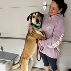 Dog Sent Back to Shelter Only 30 Minutes After Adoption for Being “Too Big”
