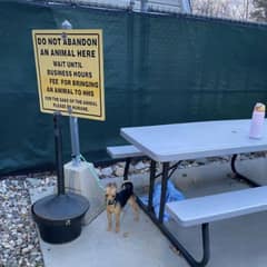 Staff in Tears After Finding Dog Tied to Shelter’s ‘No Abandonment’ Sign