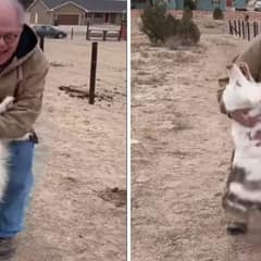 Blind and Deaf Puppy Reunites With Grandpa After a Year Apart, Proving Love Has No Limits