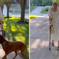 Service Dog Jumps For Joy As His Mom Walks For The First Time In Years