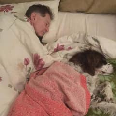 Senior Dog Can’t Climb Stairs, So His Family Sleeps Beside Him Every Night