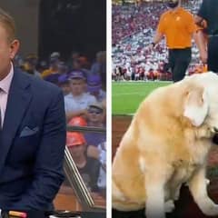 Broadcaster’s Heartfelt Farewell to His Best Friend Moves Millions