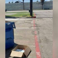 Tiny Puppy Left in Cardboard Box Near Dumpster Finds Hope and a Second Chance