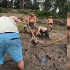 Bachelor Party Saves Dog Trapped in Mud Along Minnesota River