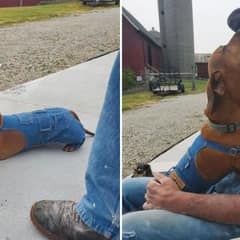 Father and His Little Dog Celebrate a Special Day Together