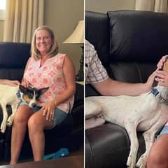 A Sign From Heaven Leads A Lonely Shelter Dog To His Forever Family
