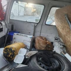 Abandoned Van in Florida Parking Lot Hides a Lonely Dog Waiting to Be Found