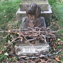 The Loyal Dog Who Still Guards His Owner’s Grave After 100 Years