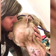 A Woman’s Final Act of Love for a Dying Dog Will Break Your Heart